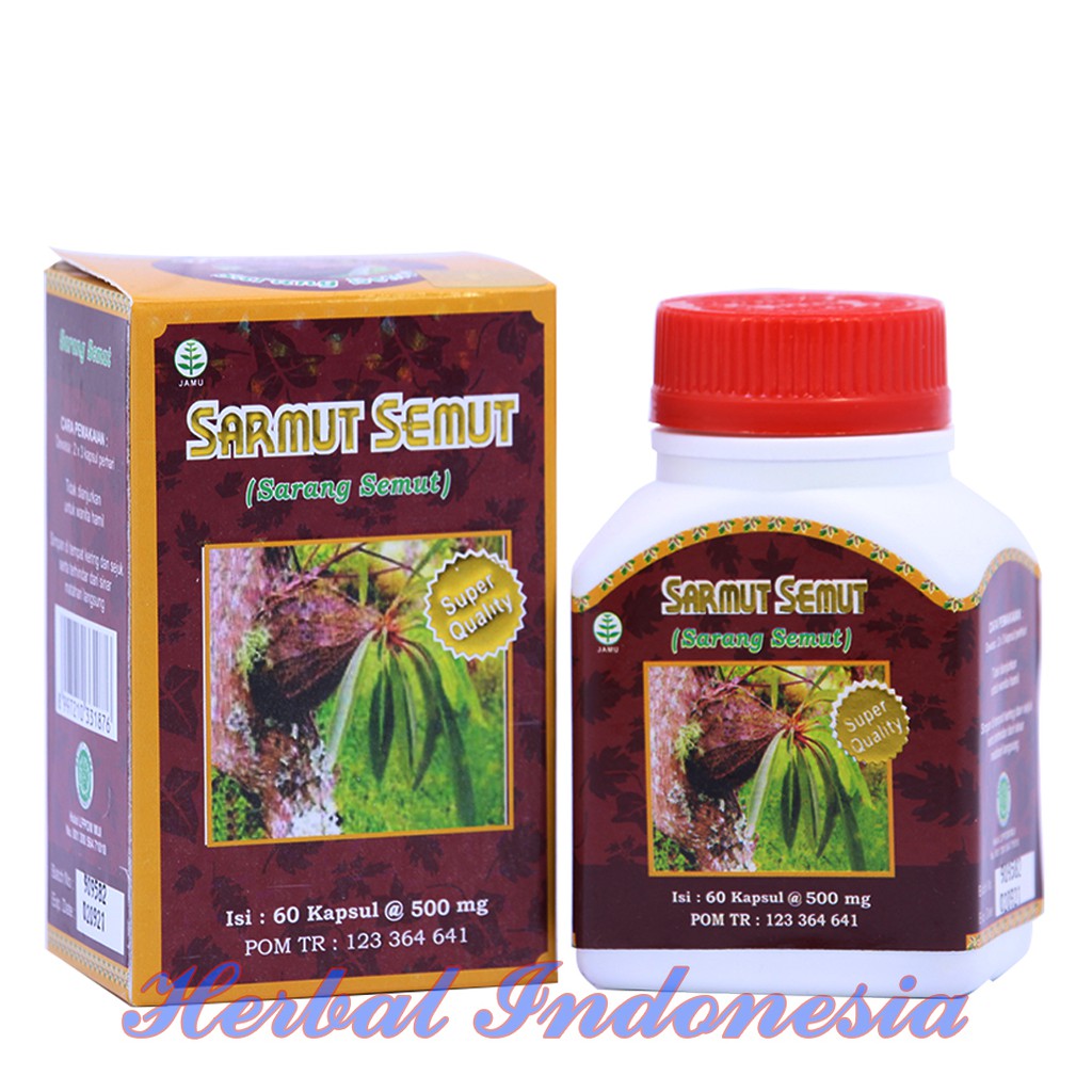 Sarmut Semut Kapsul | Sarmut | Sarang Semut |