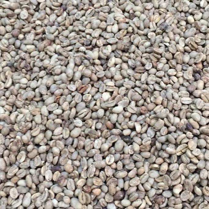 

GREEN BEAN ARABICA BALI KINTAMANI NATURAL 1000 gr