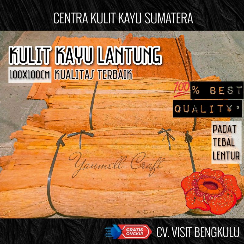 KULIT KAYU LANTUNG SUMATERA SUPER TANGAN PERTAMA  / KULIT KAYU LEMBARAN SUPER GRADE A