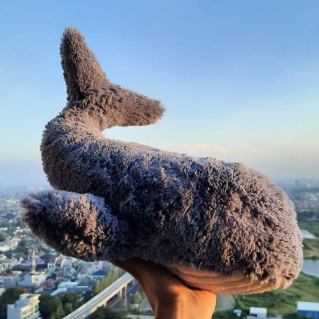 Jellycat Wilbur Whale JC