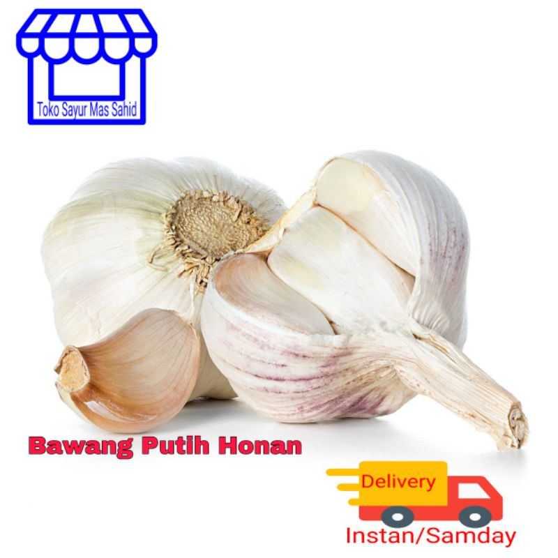 

Bawang Putih Murah Bawang Putih Garlic