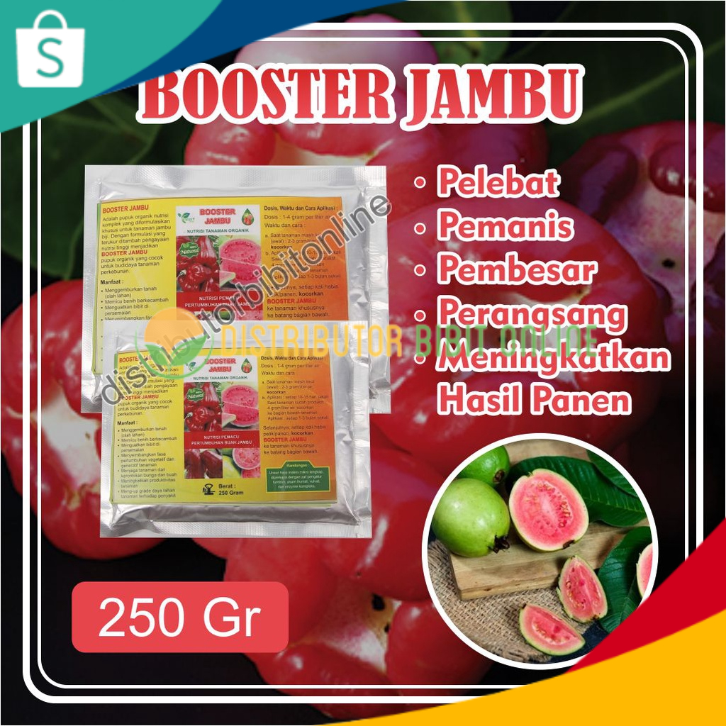 Pupuk Jambu Air, Pupuk Booster Jambu Kristal, Pupuk Jambu Cepat Berbuah, Pupuk Buah Terbaik