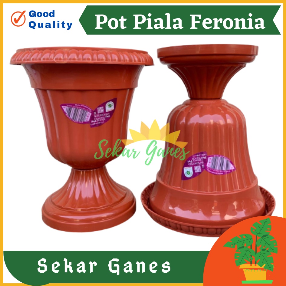 Pot Piala Green Leaf Feronia 6152 Merah Bata Terracota Merah Coklat Pot Piala Tinggi Putih Plastik hitam pendek 50 - Pot bunga tanaman piala feronia putih 18cm - PIALA MINI 6152