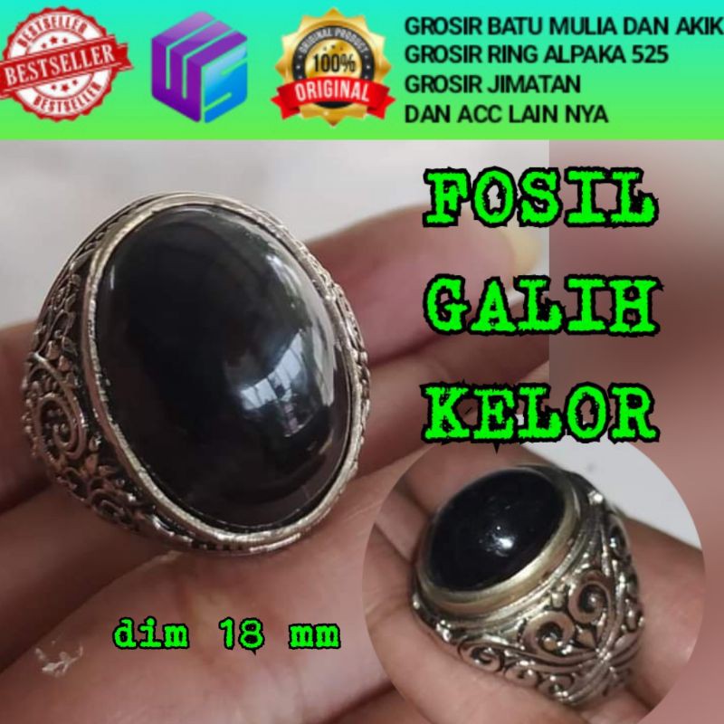 Harga Batu Kelor Terbaik Juli 2021 Indonesia