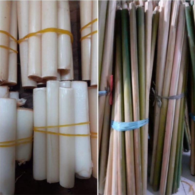 

Batang Rias Kecombrang/Kincung 500gr