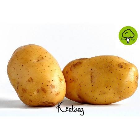 

SAYURAN / KENTANG [1KG]