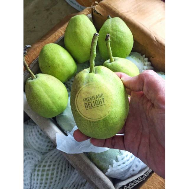 

Pear Xiang Lie Packam Manis Premium