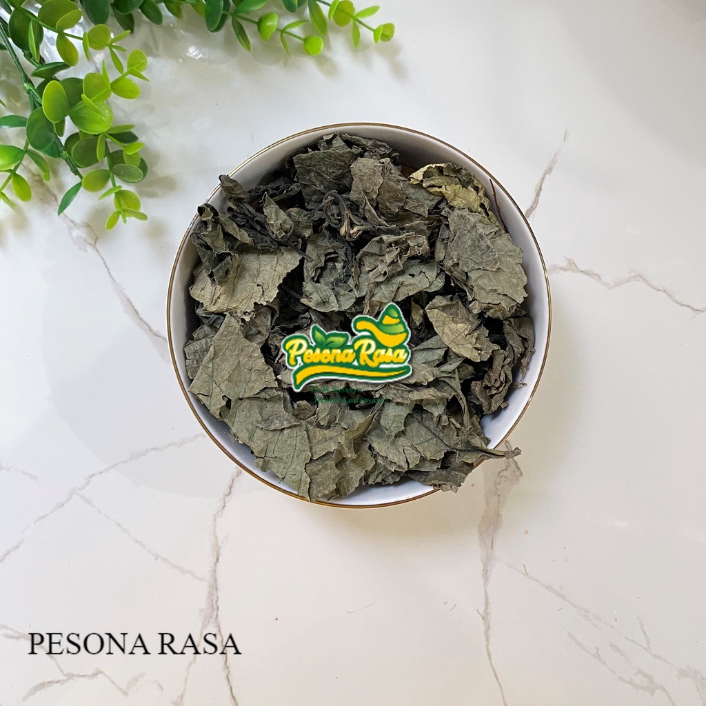 

BIG PROMO !! Daun Keji Beling Herbal Kering/ Picah Beling / Dried Strobilanthes