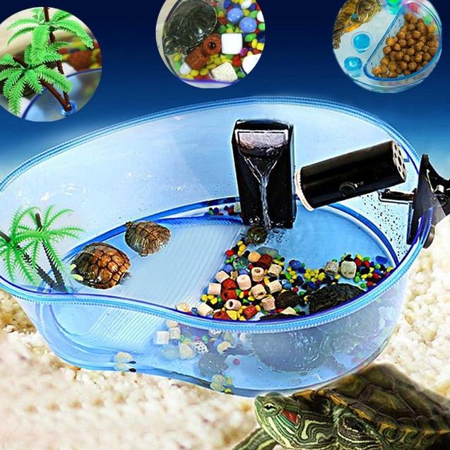 Turtle Tank Mangga S 20x15x10cm Vivarium Aquarium Kura - Bak Kura Brazil Dada Merah Damer