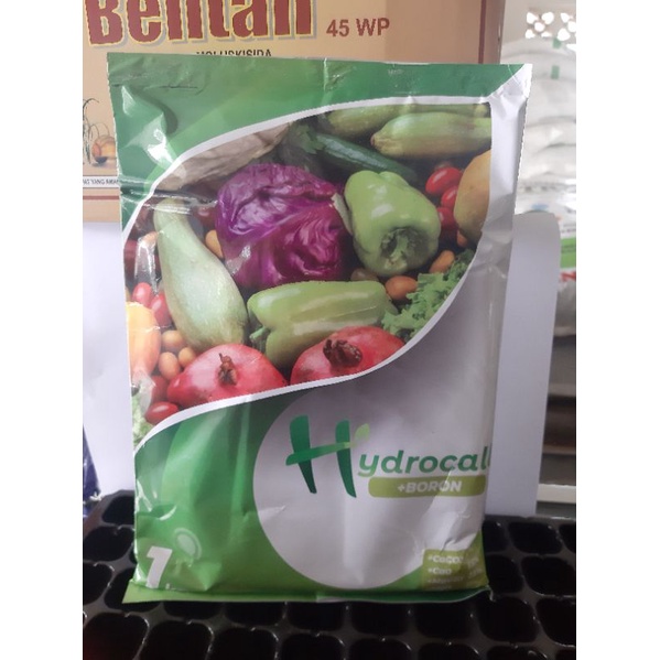 Pupuk calsium Hydrocall + Boron