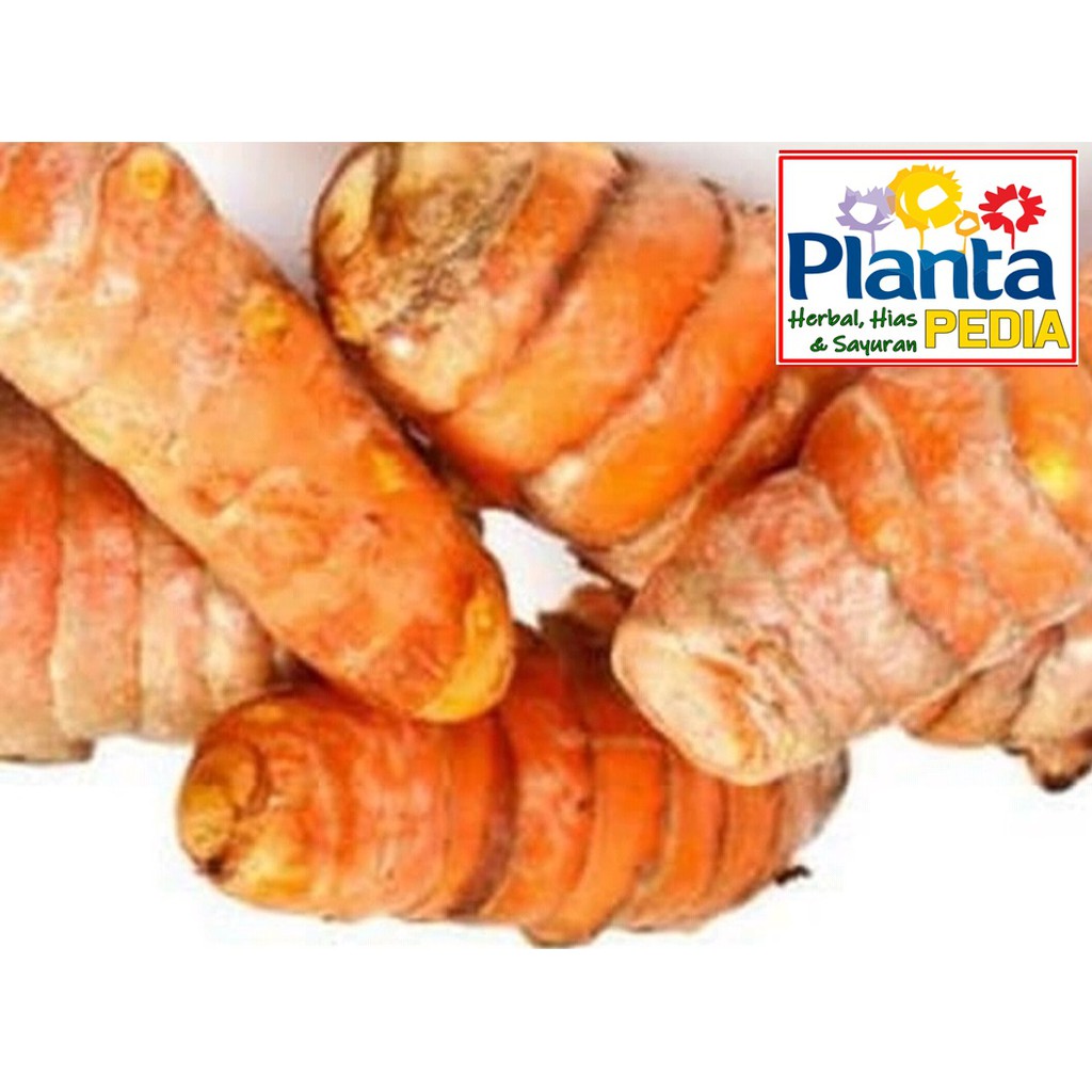 

KUNIR KUNYIT SAYURAN SEGAR MAKANAN SEGAR MINUMAN DIET SEHAT IMUNITAS, NYERI HAID, OBAT ALERGI