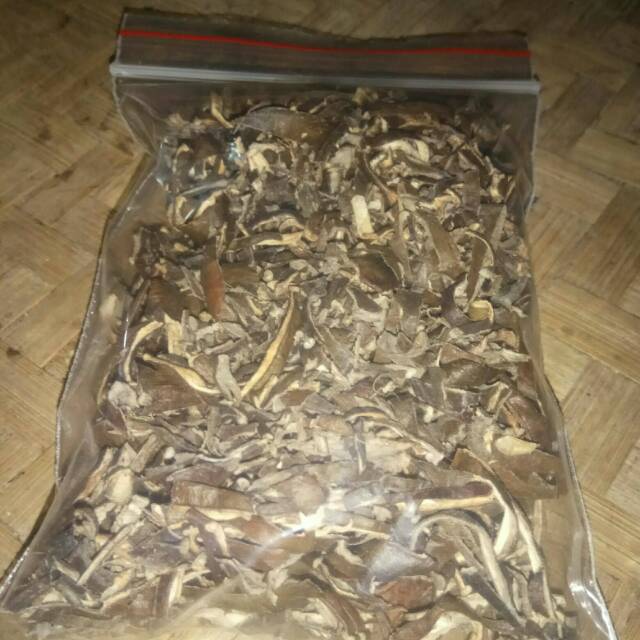 

Kulit pete kering herbal mengobati impotensi