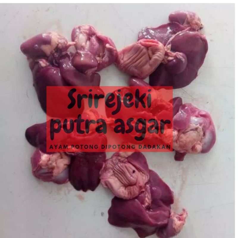 

ati ampla ayam/ati ampla segar /ati ayam broiler