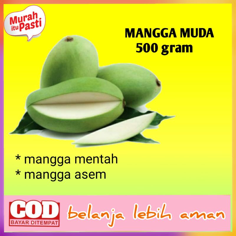 

buah mangga muda mentah asem 500 gr /mangga rujak /mangga asinan /mangga ibu hamil