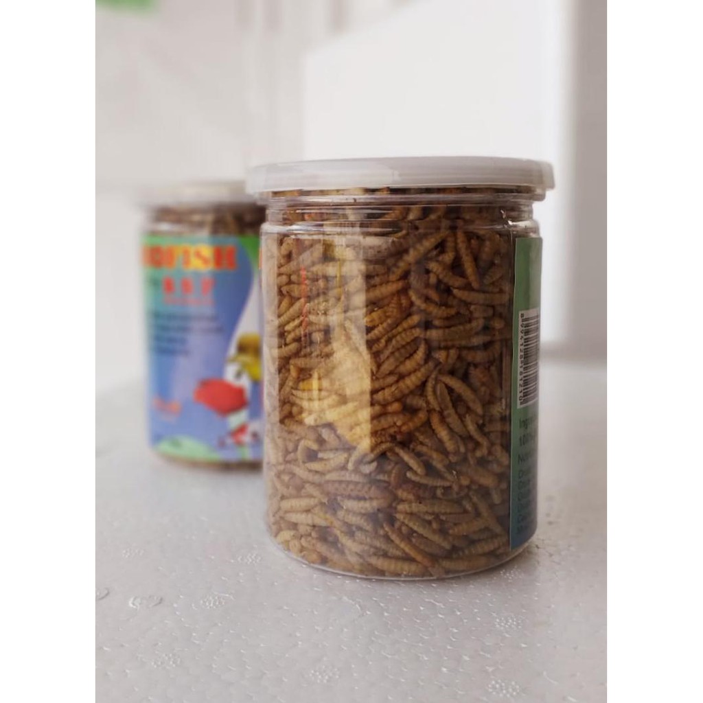 BIO FISH - Maggot BSF Makanan Ikan Toples 70gr