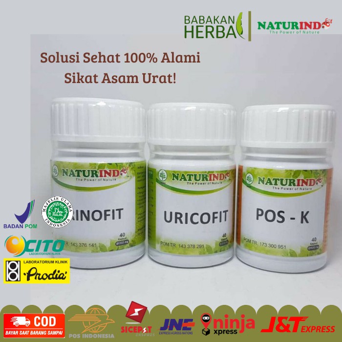 

Naturindo Obat Herbal Alami Ampuh Spesial Penyembuhan Asam Urat