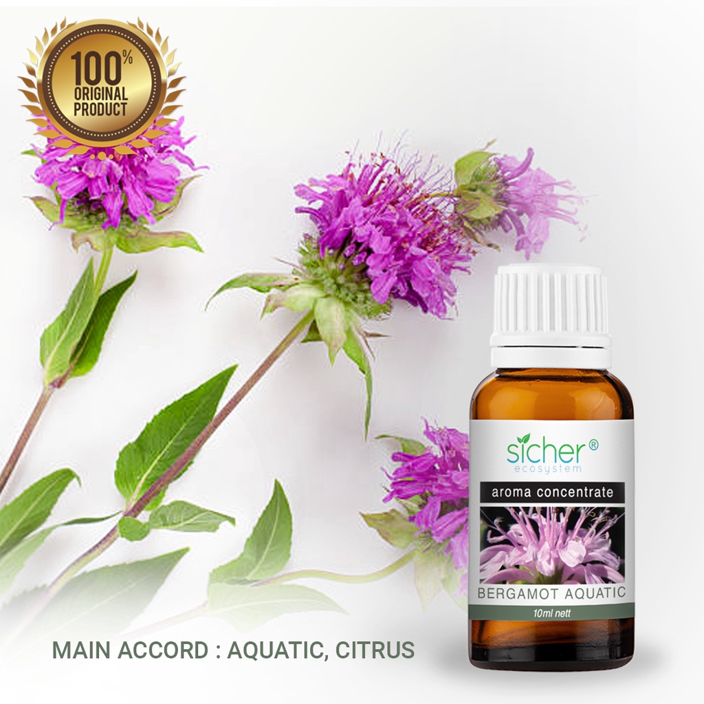SICHER Fragrance Oil Bergamot Aquatic