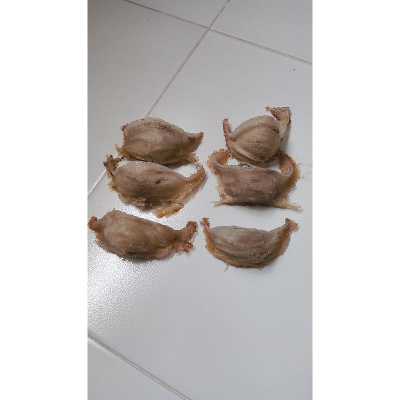 

Sarang Walet Mangkok Kotor (Per Gram)