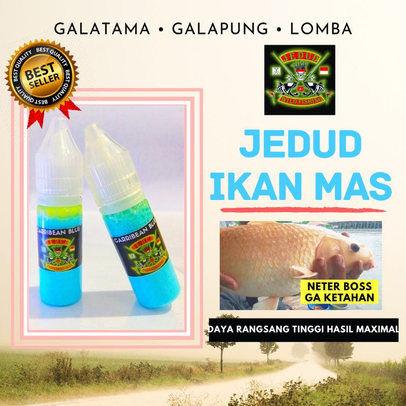 ESSEN IKAN MAS UMPAN MANCING HARIAN GALAPUNG