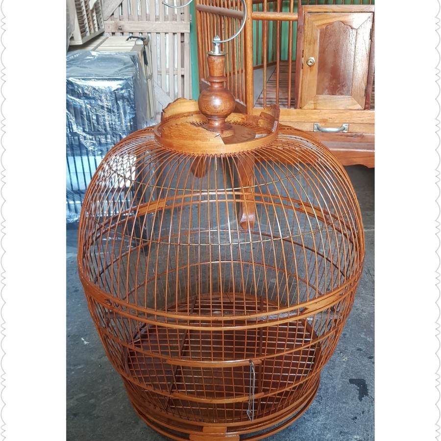 Sangkar Burung Derkuku Soloan