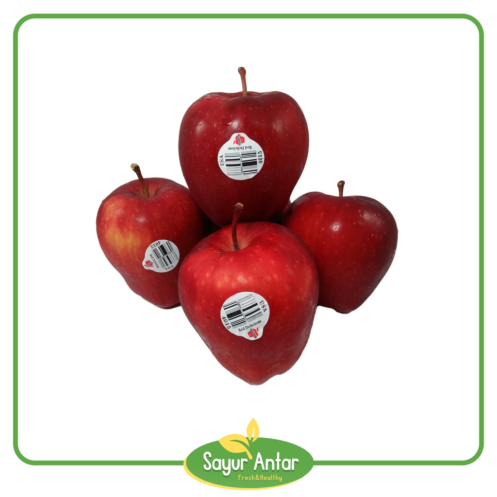 

Apel 500 gr | Sayur.Antar | Free Ongkir Bandung Cimahi