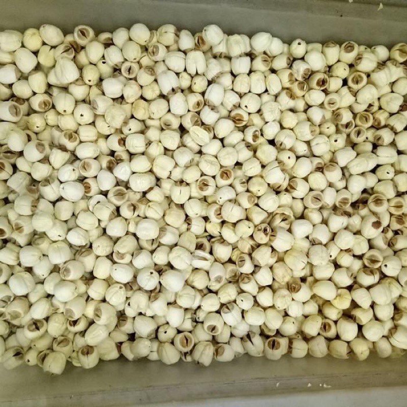 

lotus seed repack 100 gram (lien ci/ lian zhi / biji lotus)