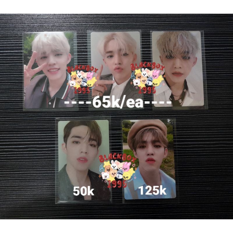 SCOUPS AN ODE PHOTOCARD / SCOUPS AN ODE BERET