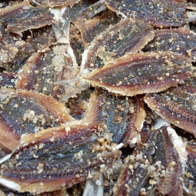 

Dendeng Ikan Manis Gurih