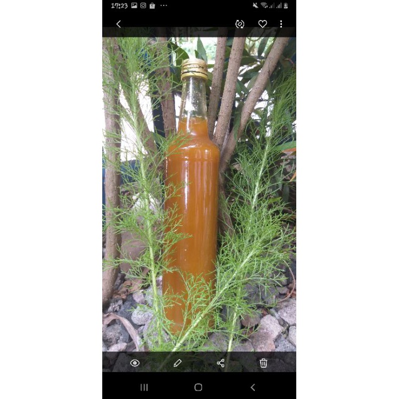 

jamu kunir asem