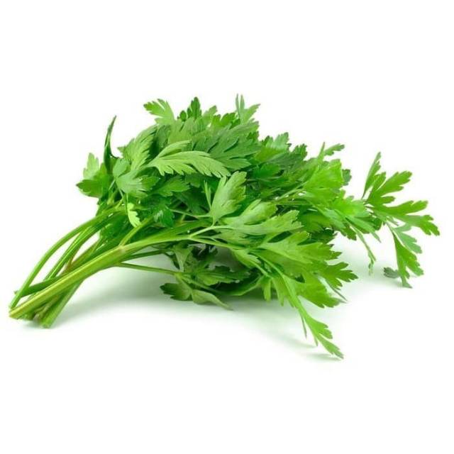 

KangSayur - Sayuran Segar DAUN SELEDRI / DAUN SOP Per Ikat 5000 Fresh Murah