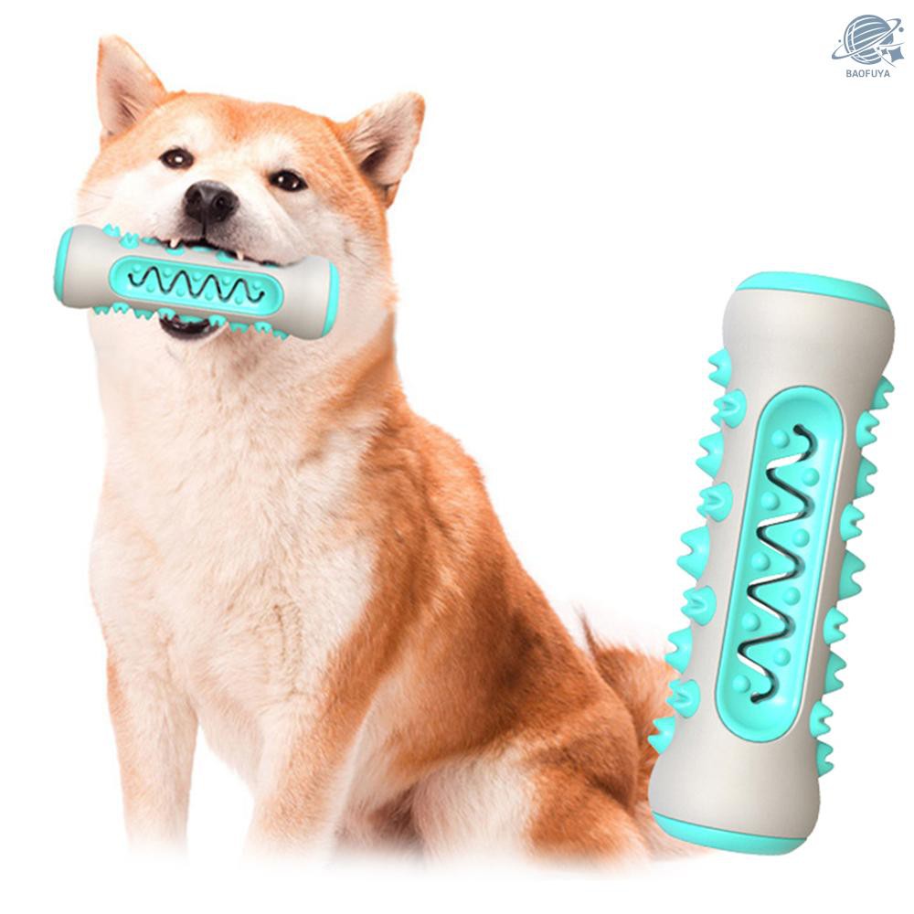 dog dental cleaning toy