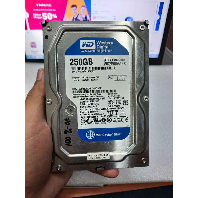 Harddisk HDD 250GB SATA 3.5 INCH INTERNAL