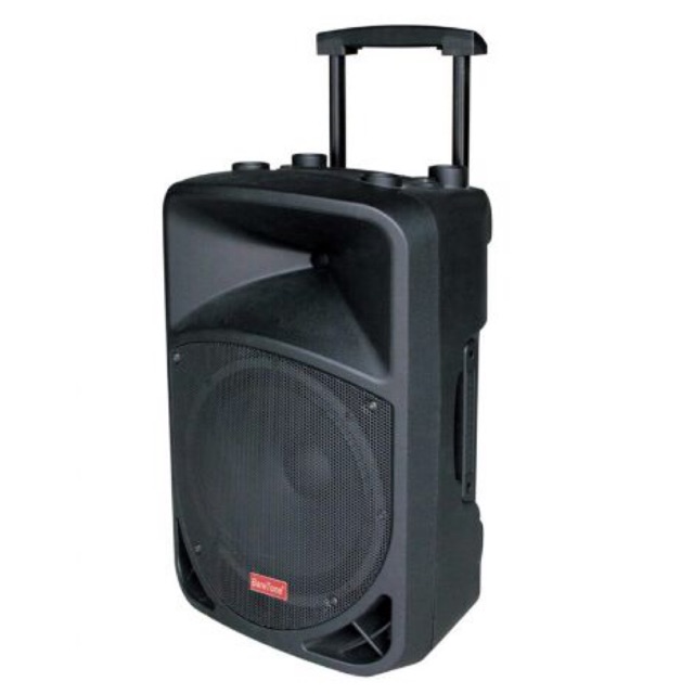 SPEAKER PORTABLE BT-1212BWR BARETONE AUDIO
