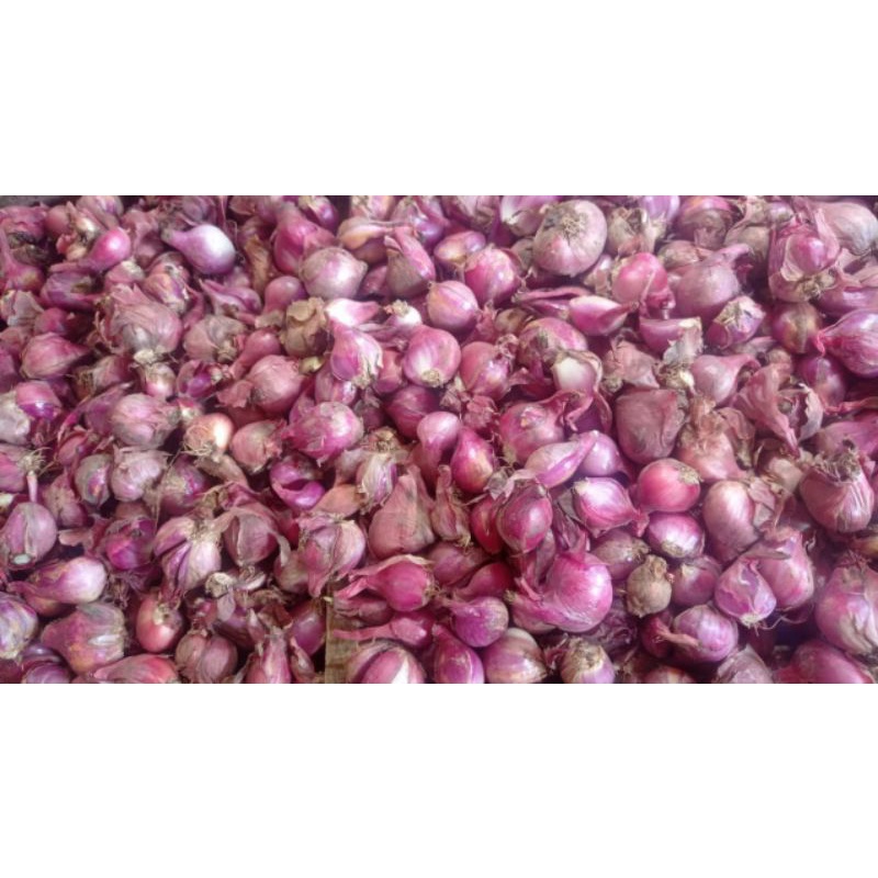 

Bawang merah karet 500g