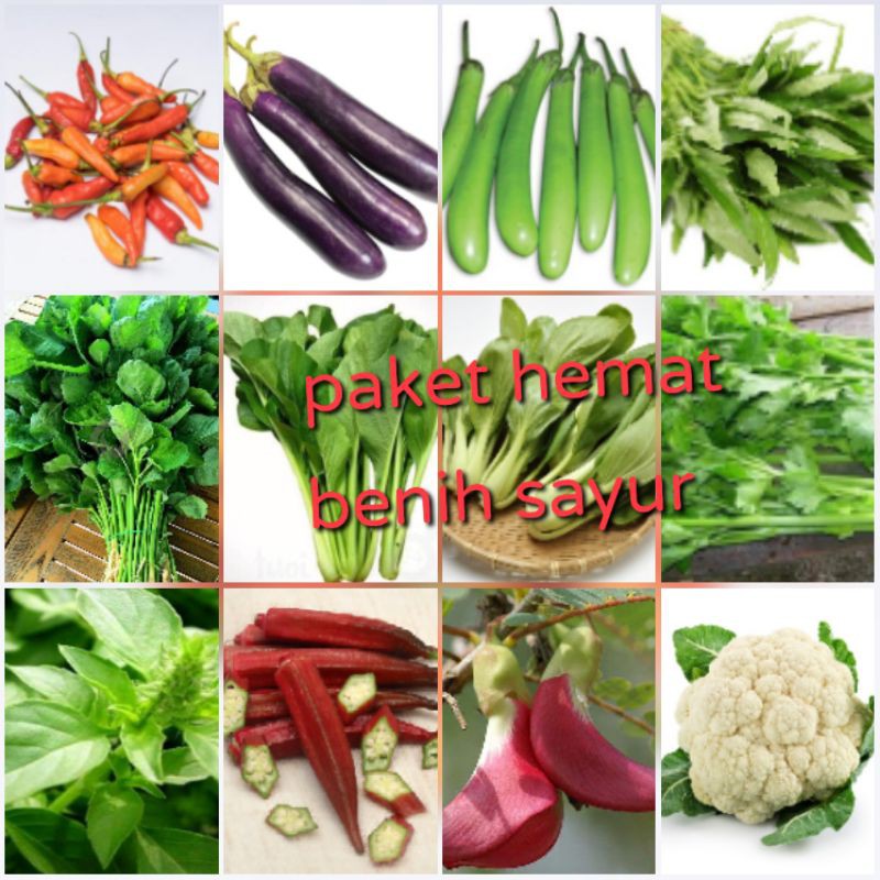 BENIH SAYUR PAKET HEMAT 12JENIS