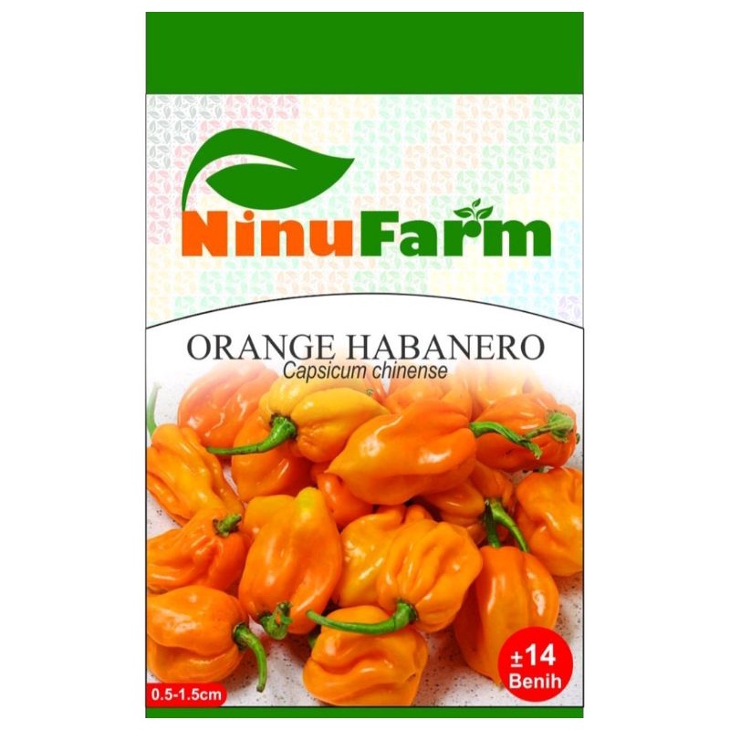 Benih CABAI HABANERO / Bibit OEANGE HABANERO PEPPER 8 seeds