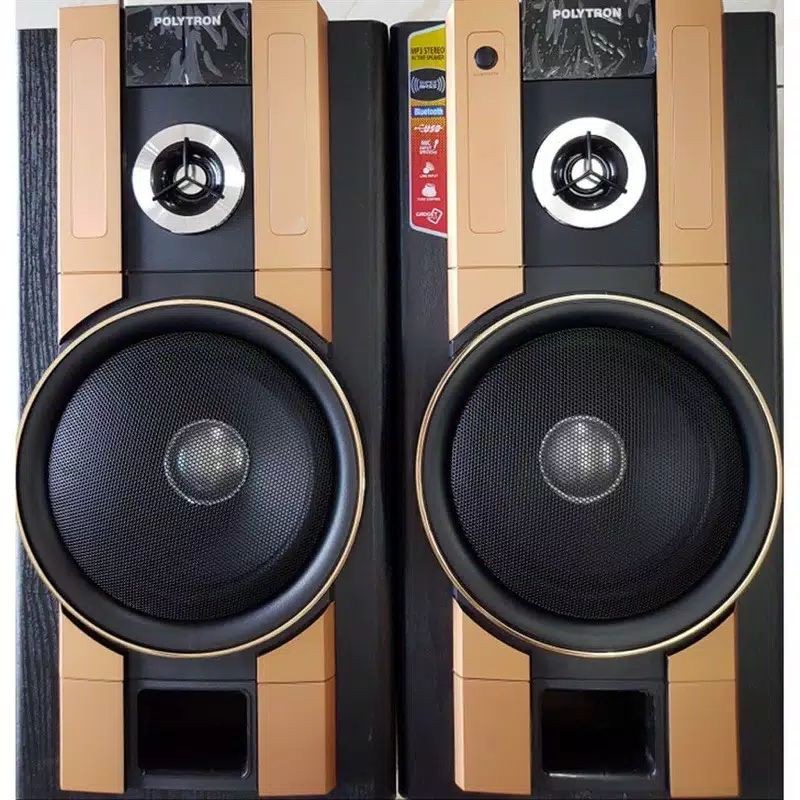 SPEAKER POLYTRON PAS-62 BLUETOOTH