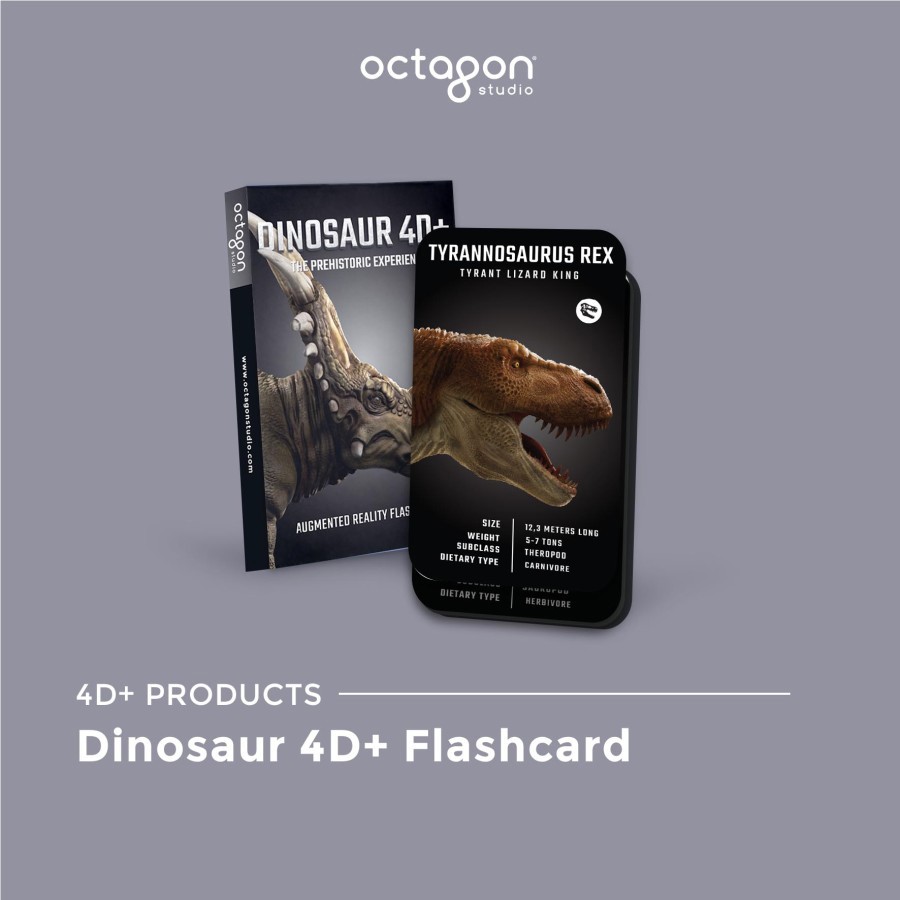 Kartu 4D+ Flashcard Octagon Studio Mainan Edukasi Anak