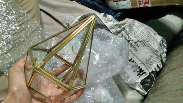 Terrarium Ringbox / Pengait Cincin