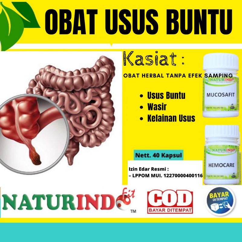 Obat Herbal Usus Buntu Ampuh Sembuh Tanpa Operasi Kanker Usus