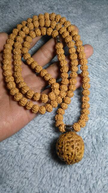 KALUNG RUDRAKSHA JENITRI ASLI RUDRAKSHA