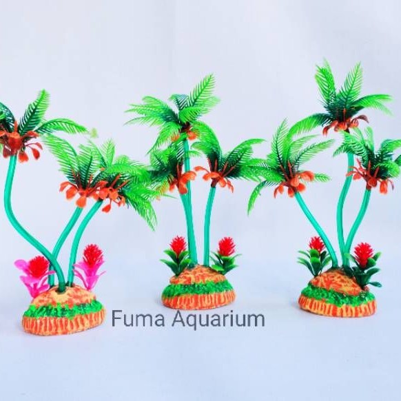 TANAMAN HIASAN AQUARIUM AQUASCAPE MODEL KELAPA BUNGA