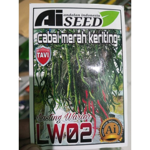 cabe merah keriting LW02