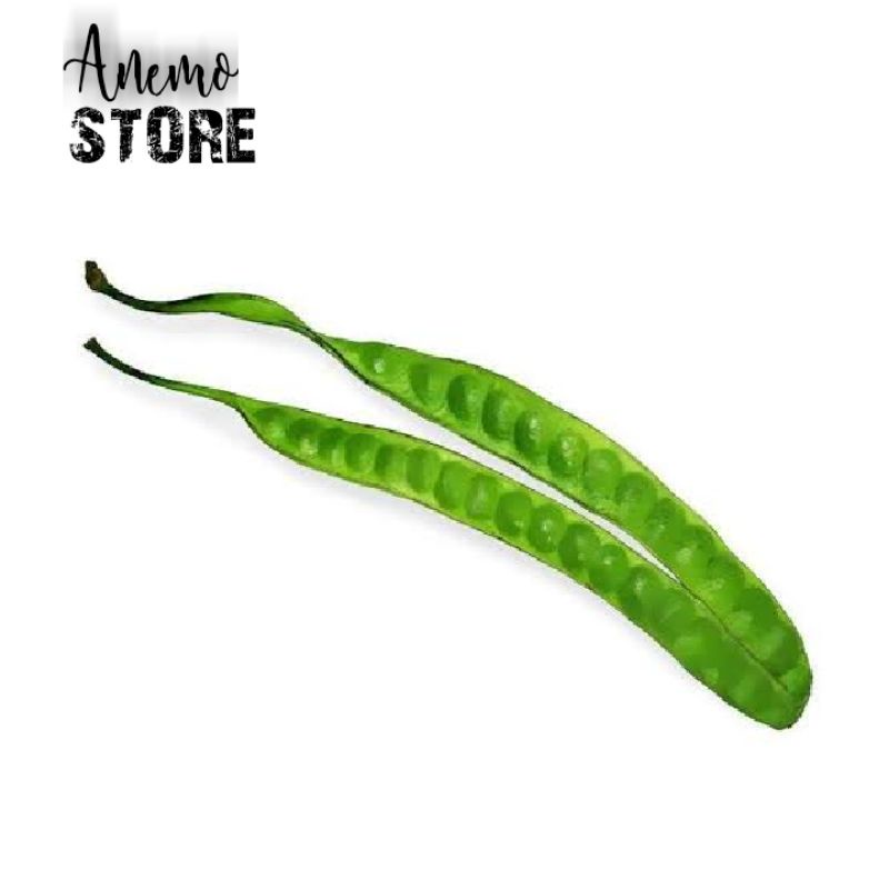 

Pete / Petey Murah/ Pete Segar /patay grosir min 100pcs