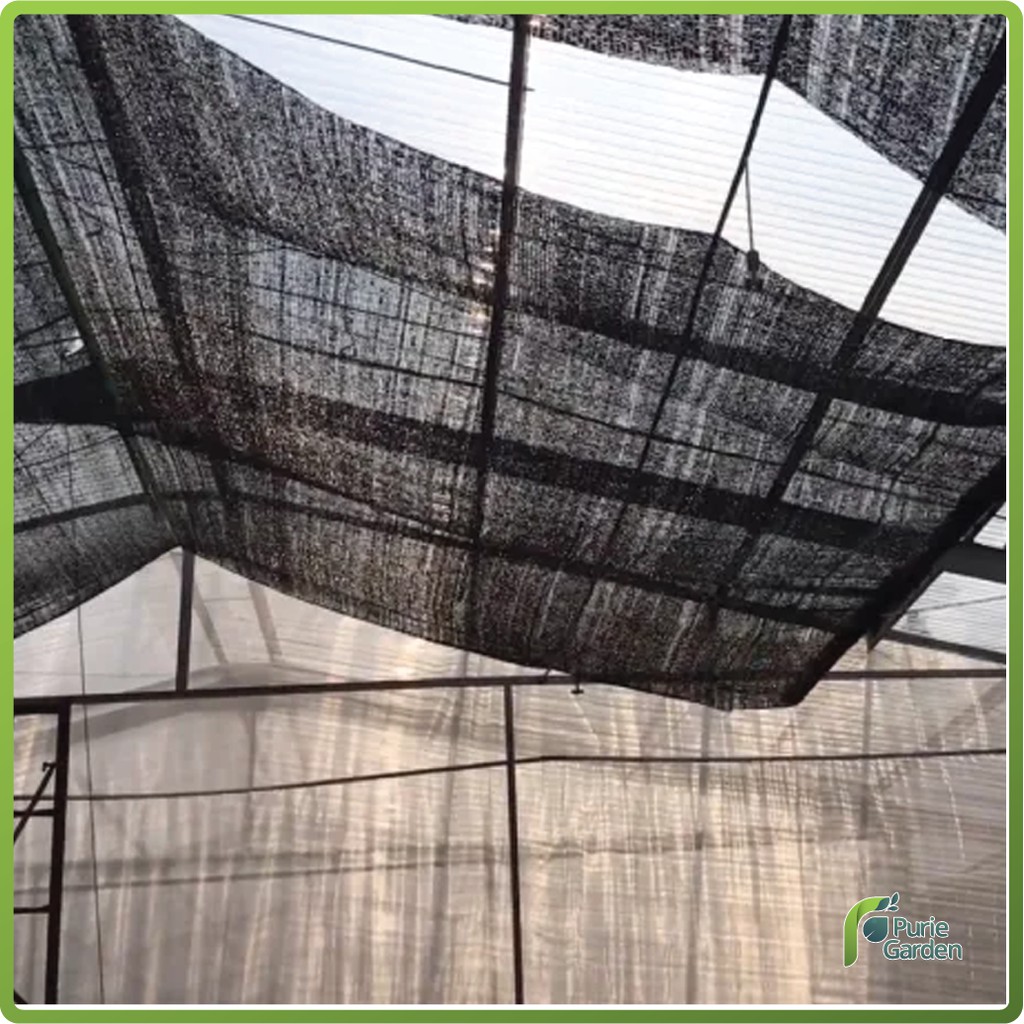 Paranet 65% Lebar 3 meter PG SBY