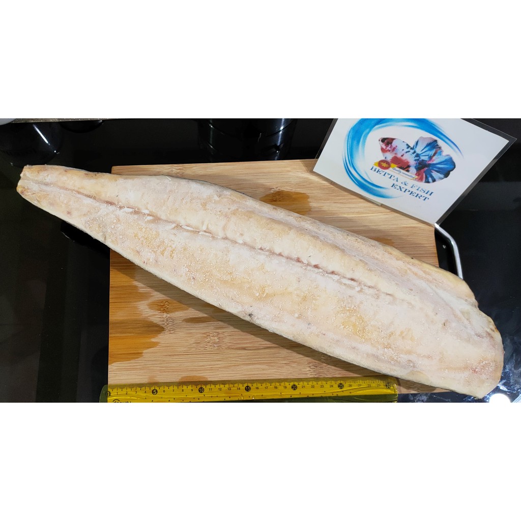 

FILLET IKAN GINDARA (OIL FISH) SKIN-ON BEKU PREMIUM/ HARGA PER 500GR