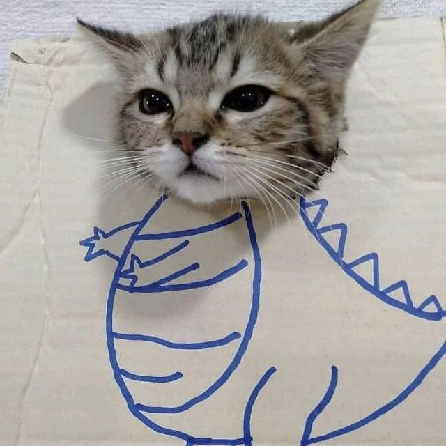 tiaraasy