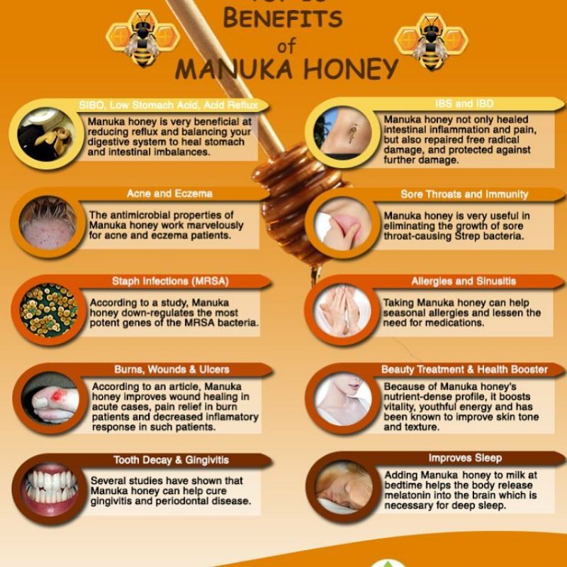Jual Madu Manuka Farm.Manuka Honey Umf 10+ 500gr ( meningkatkan imun tubuh  / immune support ) Indonesia|Shopee Indonesia
