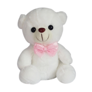 teddy for girls