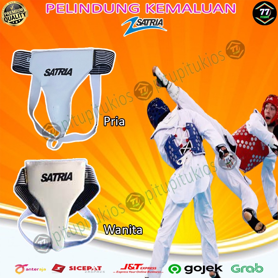 Sincha Sinca Pelindung Kemaluan Alat Vital Kelamin Groin Guard Protector Protection Taekwondo Karate